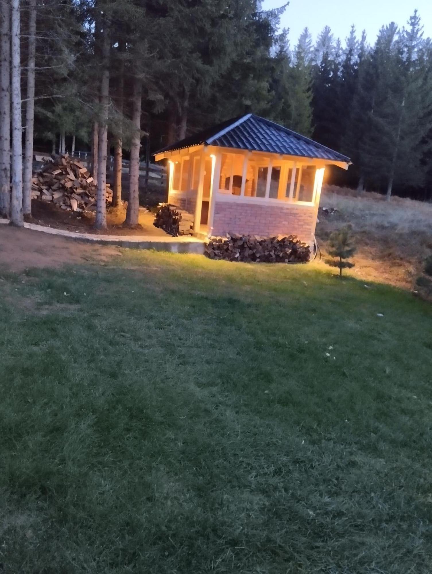 Mila House Tara Villa Bajina Basta Luaran gambar